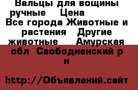 Вальцы для вощины ручные  › Цена ­ 10 000 - Все города Животные и растения » Другие животные   . Амурская обл.,Свободненский р-н